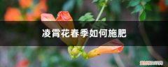 凌霄花开花时可以施肥吗 凌霄花春季如何施肥，几月份施肥比较好