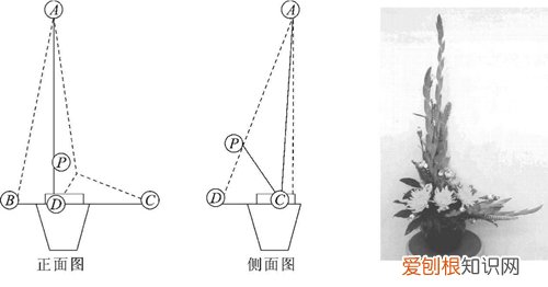 如何让插花变得更加高级 有哪几种花艺设计基础类型