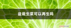 生菜刚发芽怎么浇水 盆栽生菜可以再生吗，种子发芽后应该怎么浇水