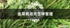 韭菜的种植与管理技术要点 韭菜栽培完怎样管理，韭菜栽培适宜环境