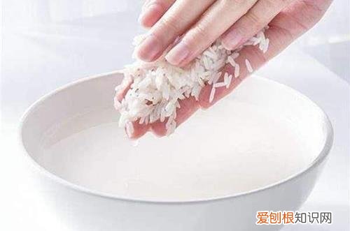 图 磁化水浇花如何呢 磁化水怎么制作