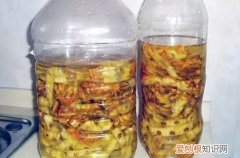 图 用坏掉的水果、水果皮怎么沤花肥(水果坏了怎么做花的肥料)