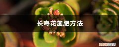 长寿花用施肥吗 长寿花施肥方法，施肥过多的症状