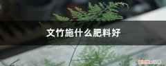 文竹施什么肥效果好 文竹施什么肥料好，施肥可以用速效复合肥吗