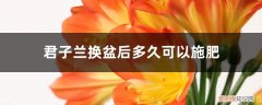 君子兰换盆施什么肥料 君子兰换盆后多久可以施肥，怎么施肥和施什么肥好