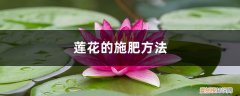 碗莲的肥料能用花肥吗? 莲花的施肥方法，莲花不施肥行吗