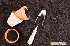 图 花盆土壤消毒用什么药 土壤杀菌消毒用什么药