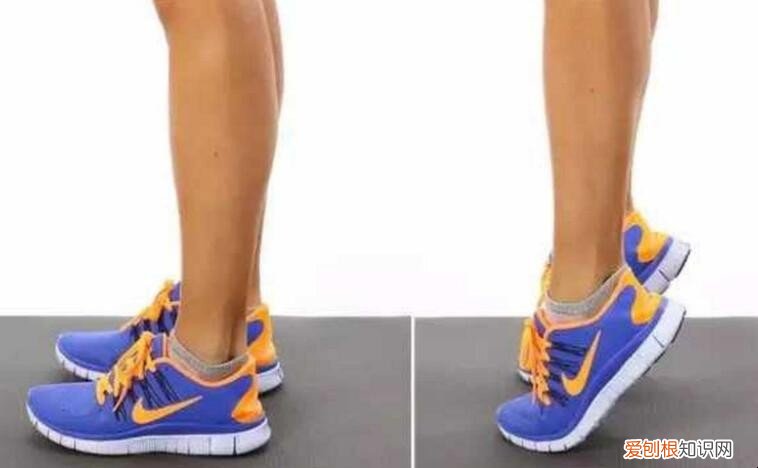 站立提踵的好处 提踵训练的好处是什么,提踵,提踵好处,提踵缺点,提踵要点,运动