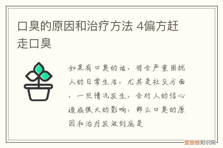 口臭的原因和治疗方法 4偏方赶走口臭