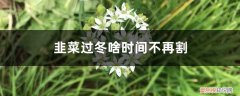 北方韭菜最晚割到什么时间 韭菜过冬啥时间不再割，北方割到几月份