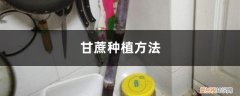 甘蔗植株图片 甘蔗种植方法，甘蔗图片