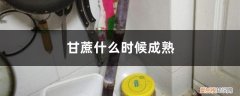 甘蔗什么时候成熟,什么时候种植最好 甘蔗什么时候成熟，什么时候种