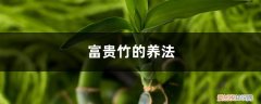 水养富贵竹如何养 富贵竹的养法，水养富贵竹的方法