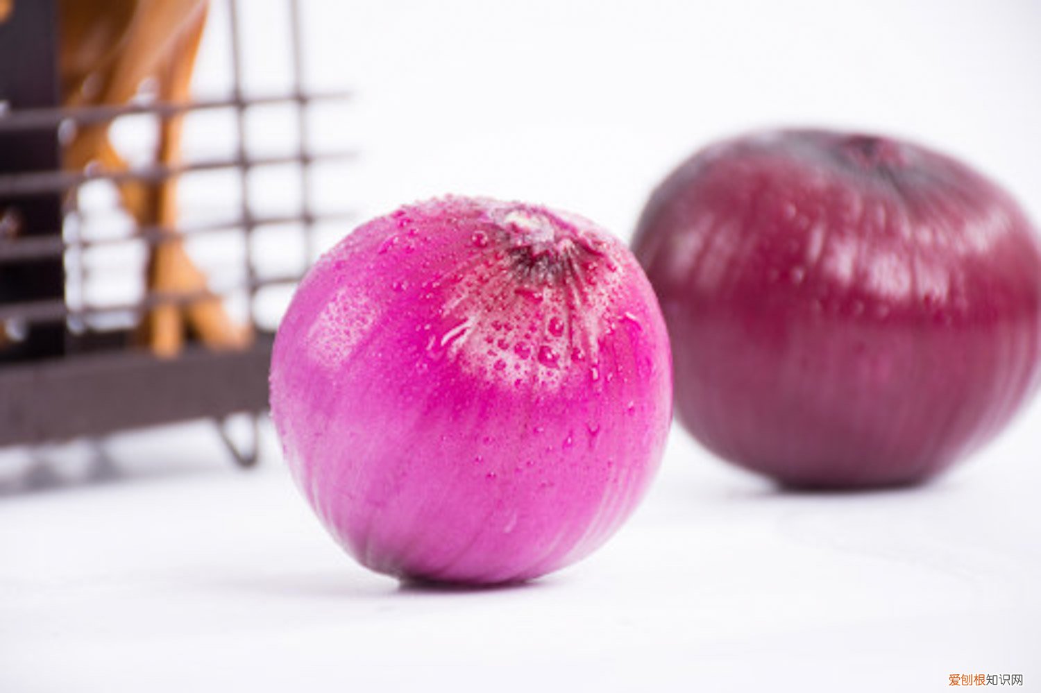 洋葱的种植技术 洋葱种植技术，洋葱图片