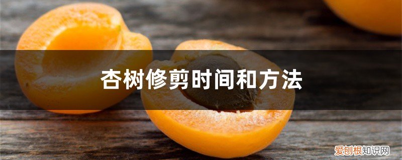 什么时间修剪杏树 杏树修剪时间和方法