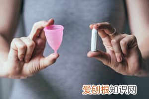 怀孕染色体是什么意思 ，胎儿有没有染色体是啥意思