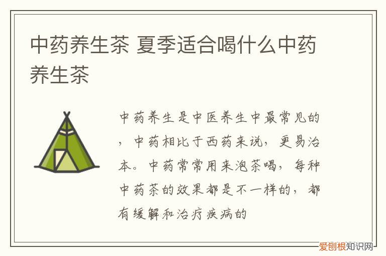 中药养生茶 夏季适合喝什么中药养生茶