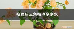 换盆后三角梅浇多少水比较好 换盆后三角梅浇多少水