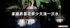 家庭养昙花多少天浇一次水合适 家庭养昙花多少天浇一次水