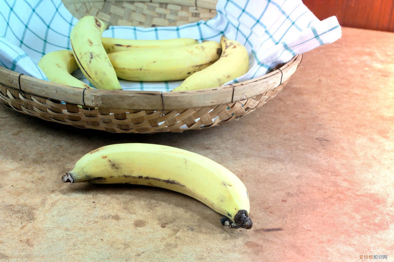 香蕉树的养殖方法 香蕉的养殖方法