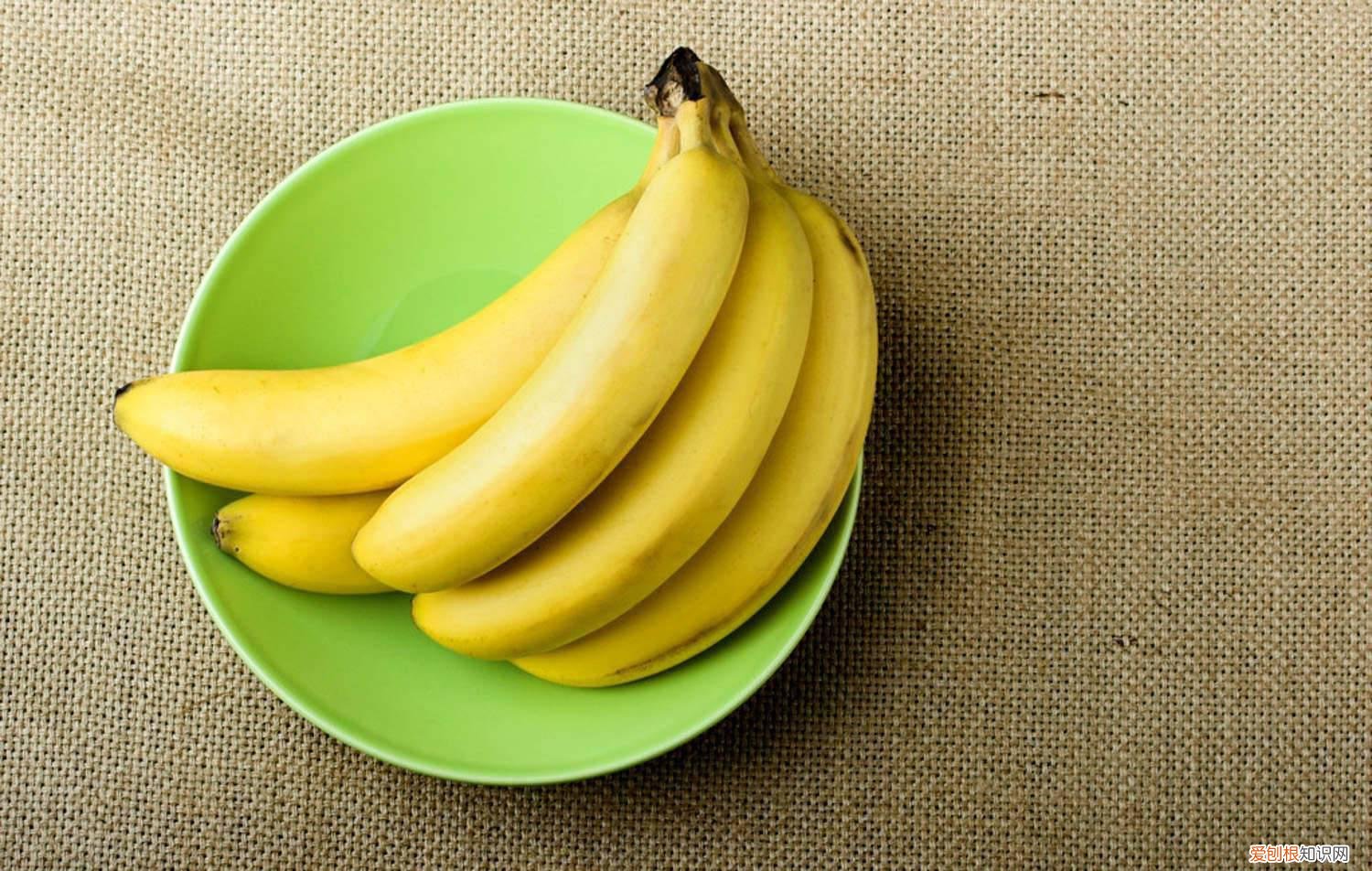 香蕉树的养殖方法 香蕉的养殖方法