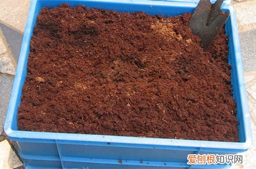 图 能用椰糠种花吗 椰糠土怎么用