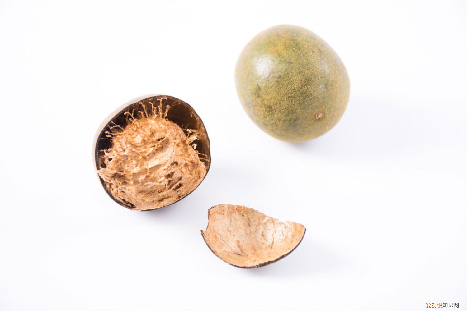 罗汉果的养殖方法和注意事项 罗汉果的养殖方法