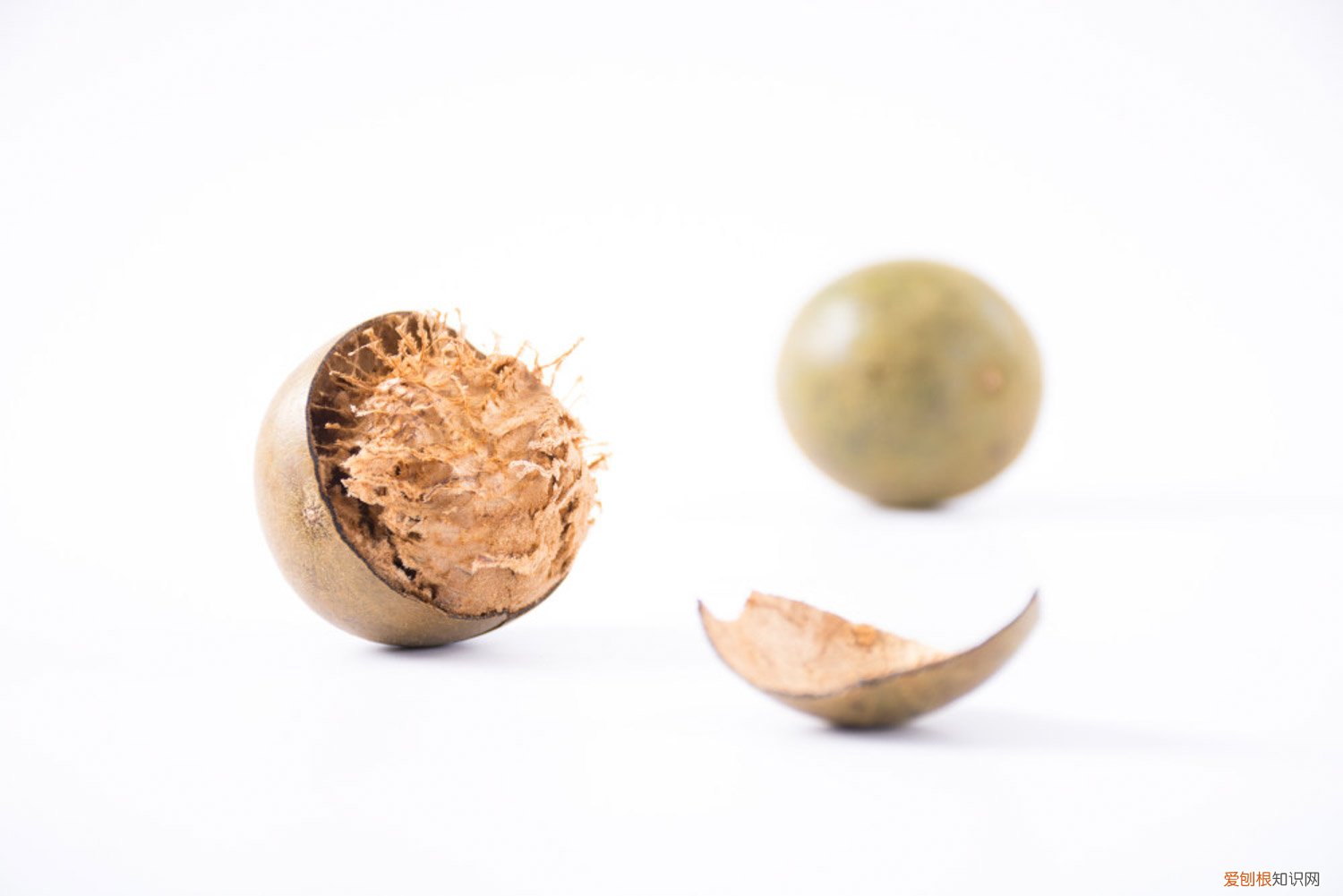 罗汉果的养殖方法和注意事项 罗汉果的养殖方法