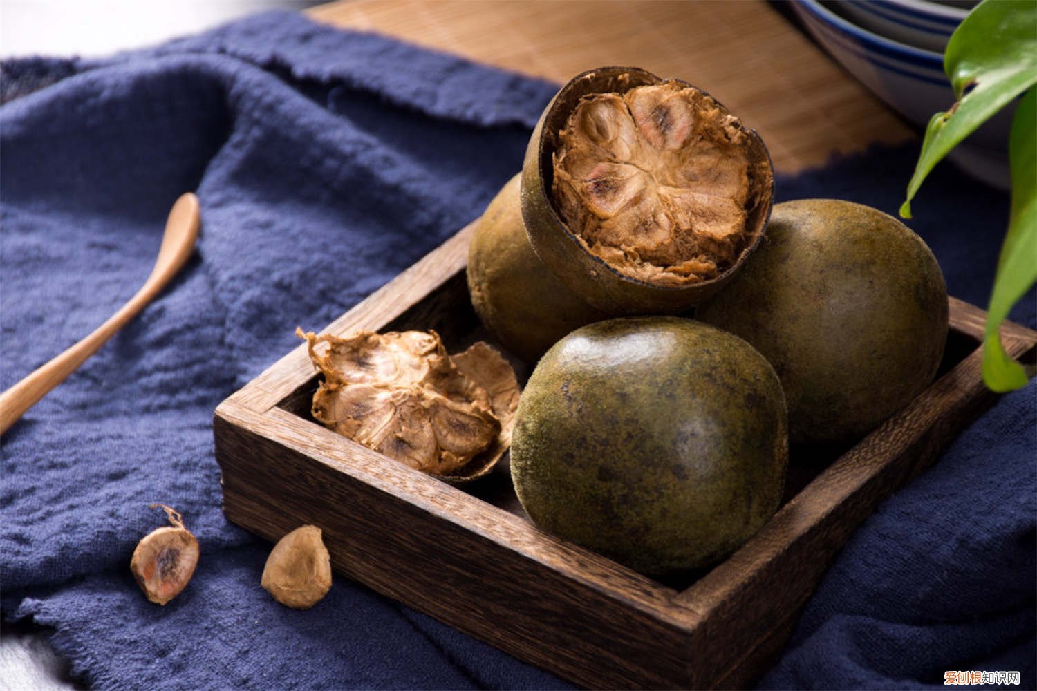 罗汉果的养殖方法和注意事项 罗汉果的养殖方法