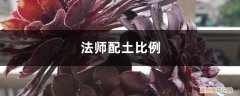 法师土壤配比 法师配土比例