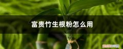 富贵竹用生根粉怎么养 怎么给富贵竹使用生根粉