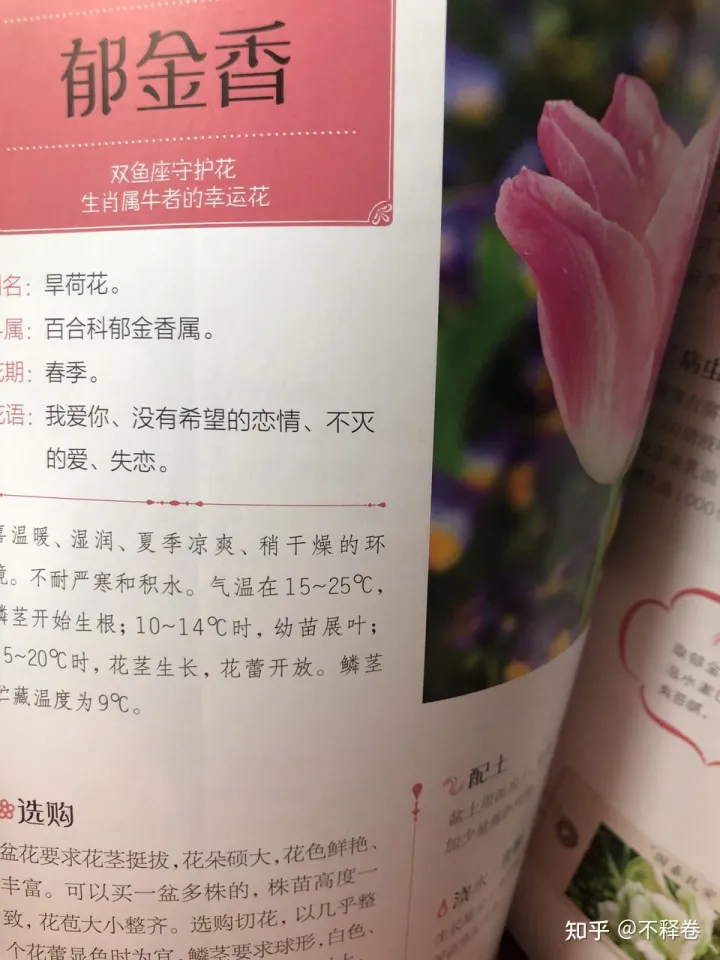 新手学养花，从新手到高手，养花一点通