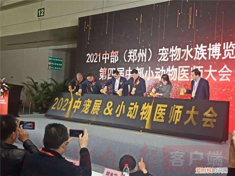 2021宠物展会时间，2021年“中部宠物第一展”：“萌宠”嘉年华 新潮“宠”经济