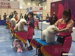 2021宠物展会时间，2021年“中部宠物第一展”：“萌宠”嘉年华 新潮“宠”经济