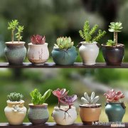 四季的花幼儿教案，屈老师大班数学教案《四季花圃》