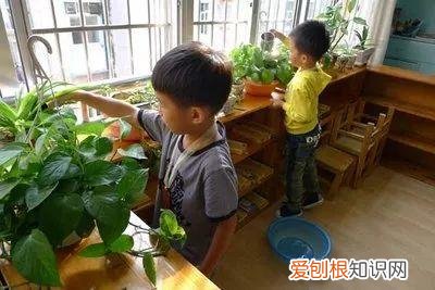 浇花培养孩子什么能力，养花要从小培养，浇浇水施施肥，让孩子体会到动手的乐趣