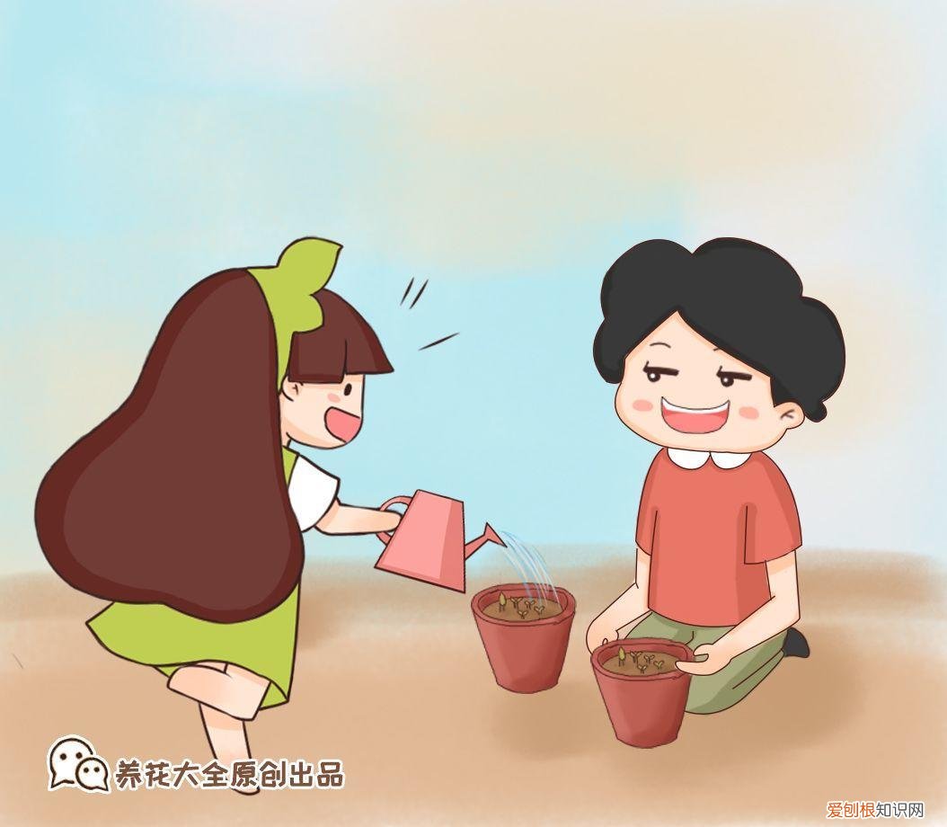 浇花培养孩子什么能力，养花要从小培养，浇浇水施施肥，让孩子体会到动手的乐趣