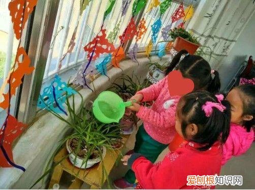 浇花培养孩子什么能力，养花要从小培养，浇浇水施施肥，让孩子体会到动手的乐趣