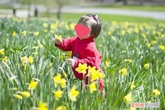 浇花培养孩子什么能力，养花要从小培养，浇浇水施施肥，让孩子体会到动手的乐趣