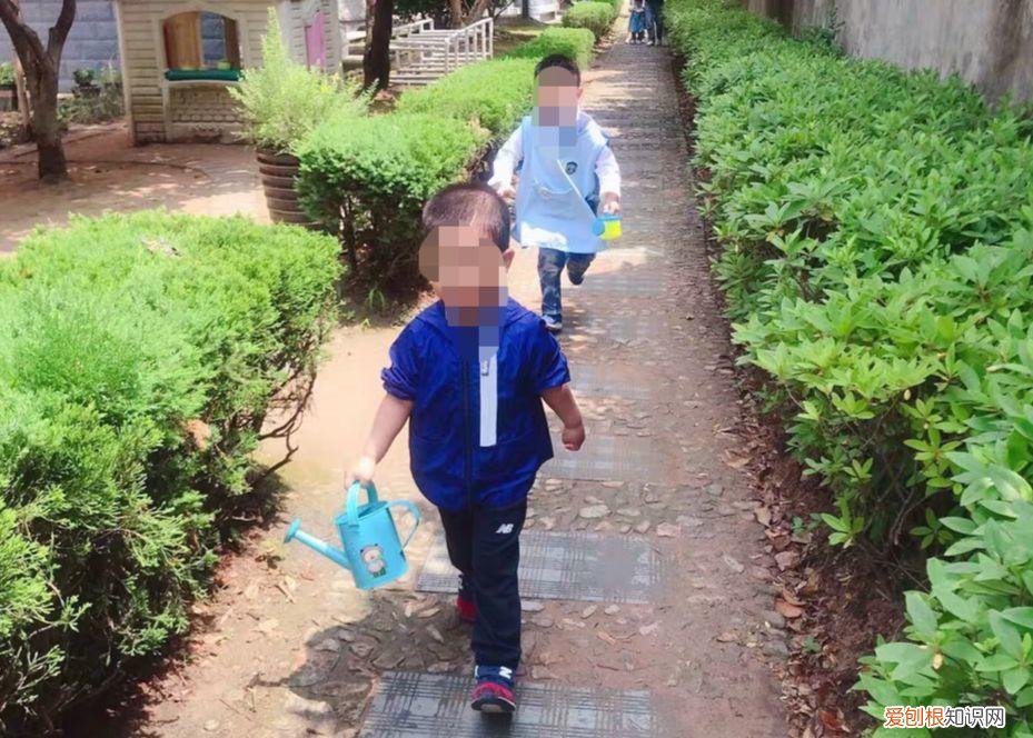 浇花培养孩子什么能力，养花要从小培养，浇浇水施施肥，让孩子体会到动手的乐趣