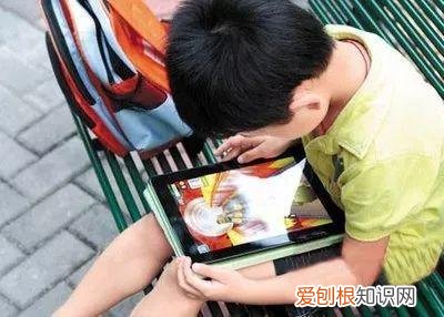 浇花培养孩子什么能力，养花要从小培养，浇浇水施施肥，让孩子体会到动手的乐趣