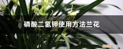 磷酸二氢钾浇兰花使用方法 磷酸二氢钾使用方法兰花