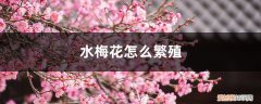 水梅花怎样繁殖 水梅花怎么繁殖