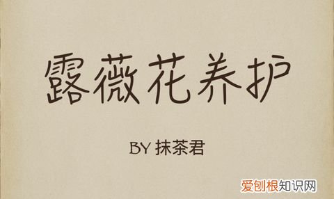 18 养花用什么水溶肥，【养花必看】园艺小知识——水溶肥、液体肥