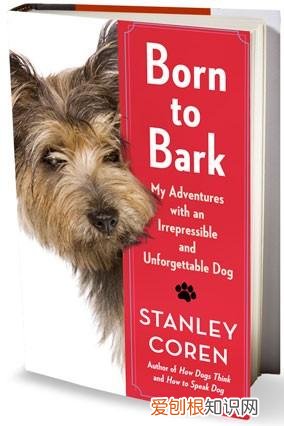 《猫》短文阅读及答案，关于猫狗的12条冷知识，快来看看能答对几题？