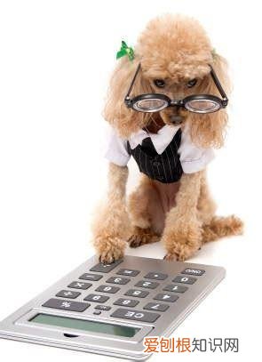 《猫》短文阅读及答案，关于猫狗的12条冷知识，快来看看能答对几题？