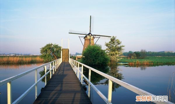 换驾照需要体检证明吗，换驾驶证的体检证明怎么弄