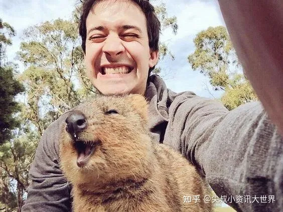 动物权利的看法，聊一聊，什么是动物权利，我们为什么要尊重动物的权利？