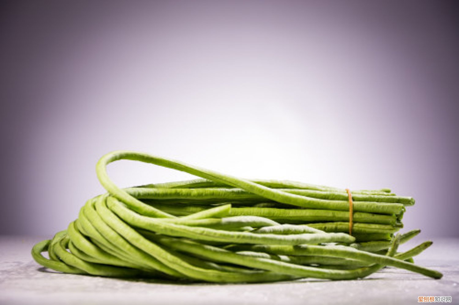 秋葵什么时间栽 秋葵的栽培时间和技术