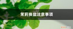 给茉莉换盆注意事项 茉莉换盆注意事项